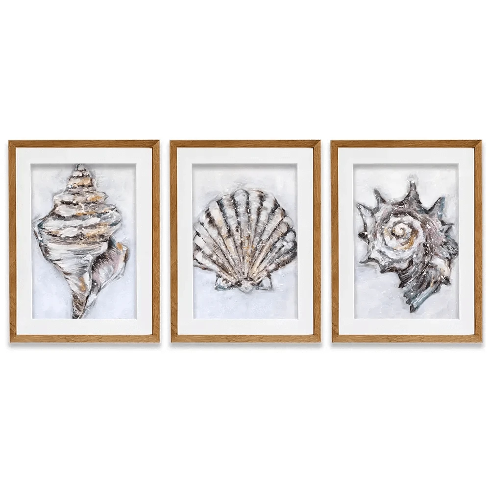 Three Shells Framed Art Print Trio Three Shells Framed Art Print Trio wall art product Nicola Jane Rowles