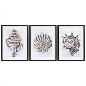 Three Shells Framed Art Print Trio Three Shells Framed Art Print Trio wall art product Nicola Jane Rowles