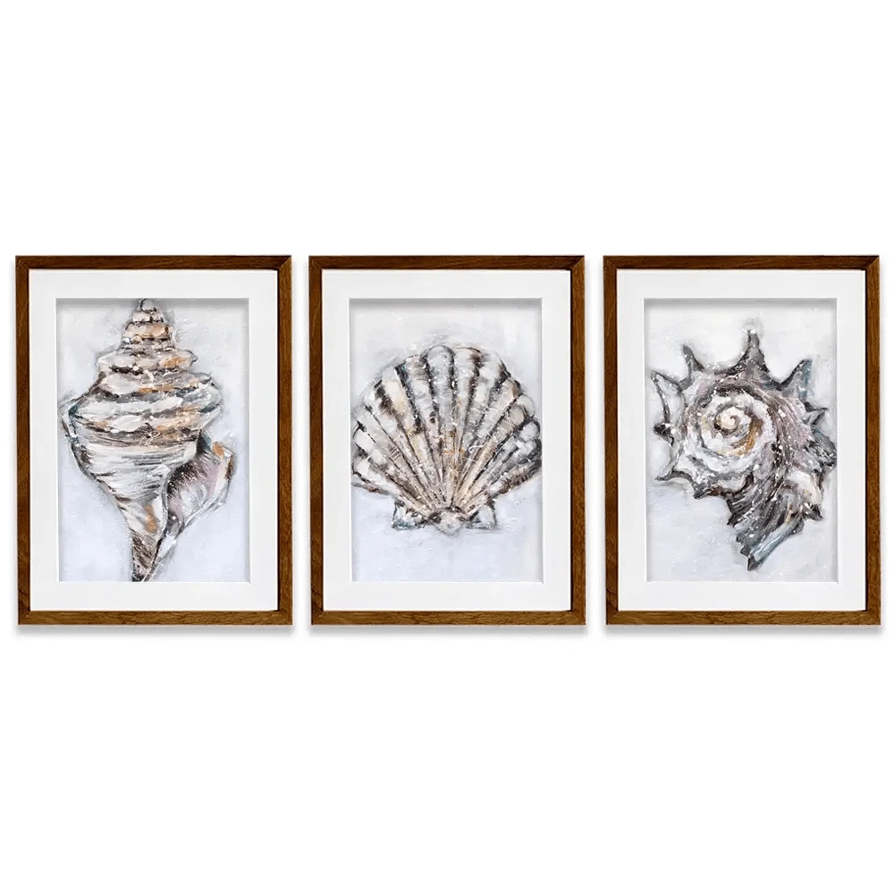 Three Shells Framed Art Print Trio Three Shells Framed Art Print Trio wall art product Nicola Jane Rowles