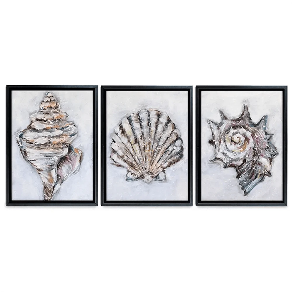 Three Shells Trio Canvas Print Three Shells Trio Canvas Print wall art product Nicola Jane Rowles