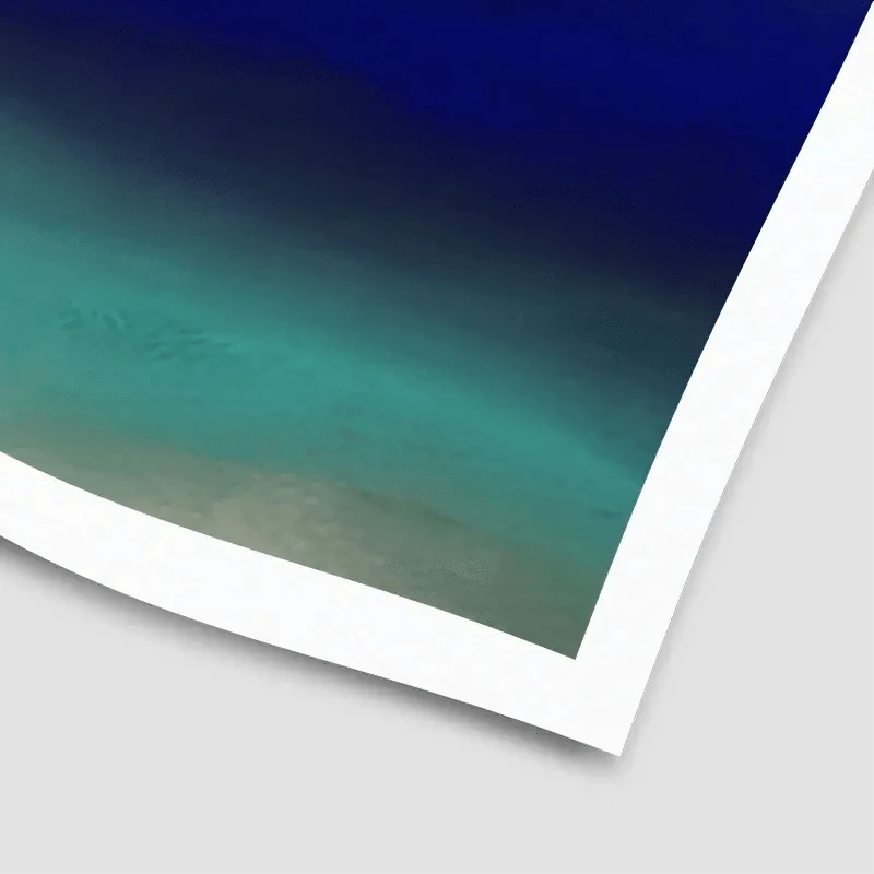 Tropical Flair Art Print Tropical Flair Art Print wall art product Roberto Moro