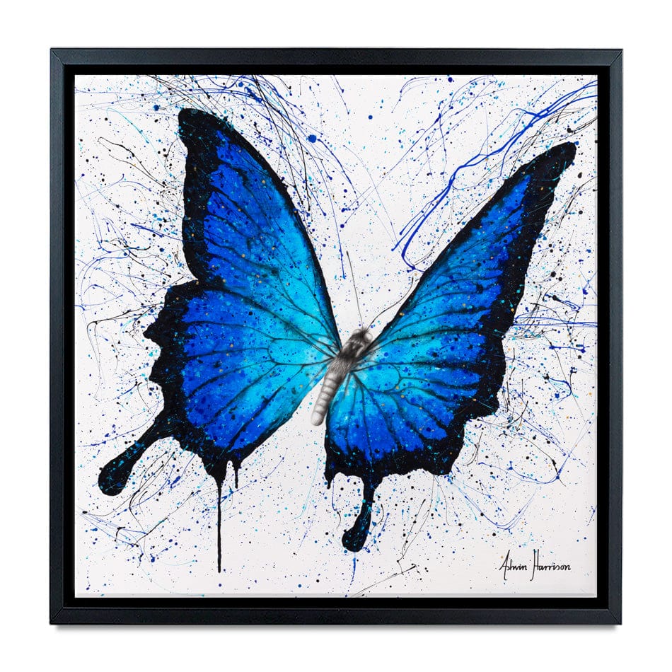 Tropics Of Blue Butterfly Canvas Print wall art product Ashvin Harrison