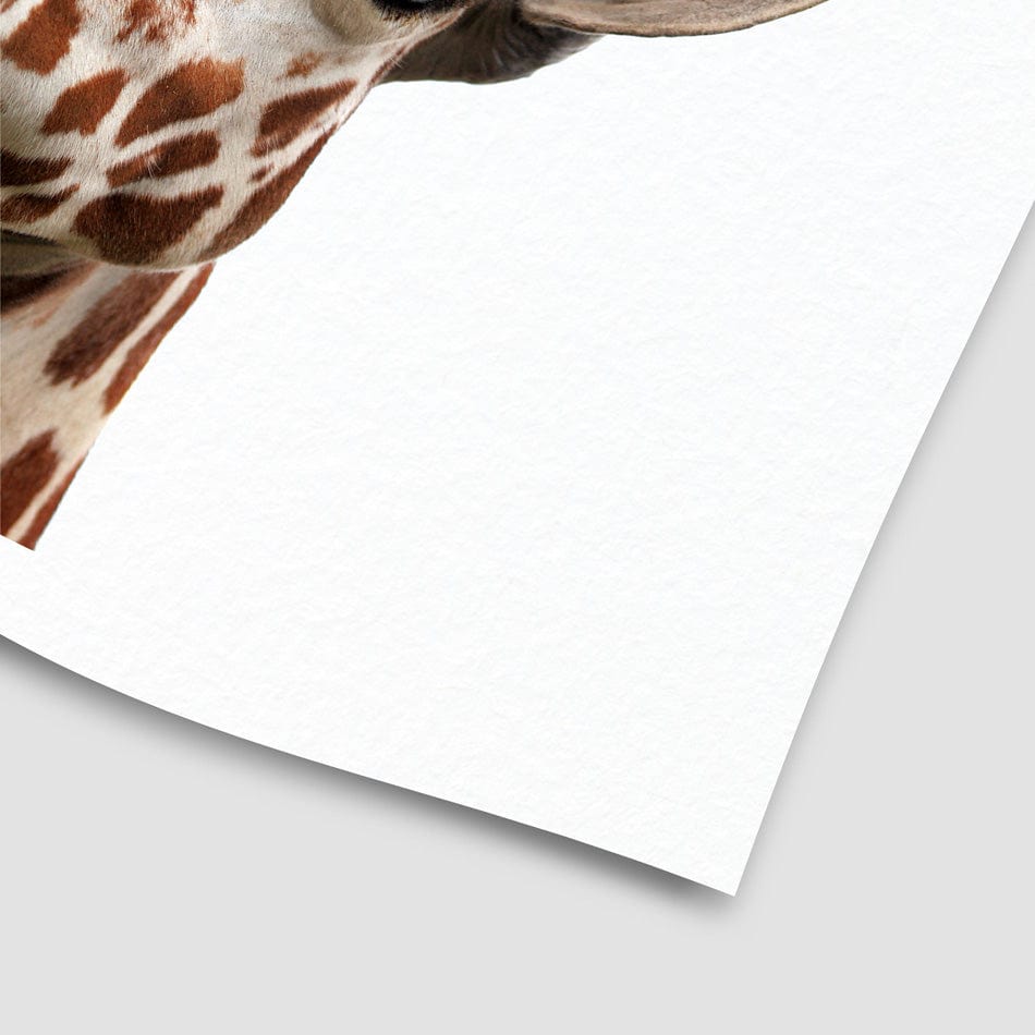Two Giraffes Art Print wall art product / Shutterstock