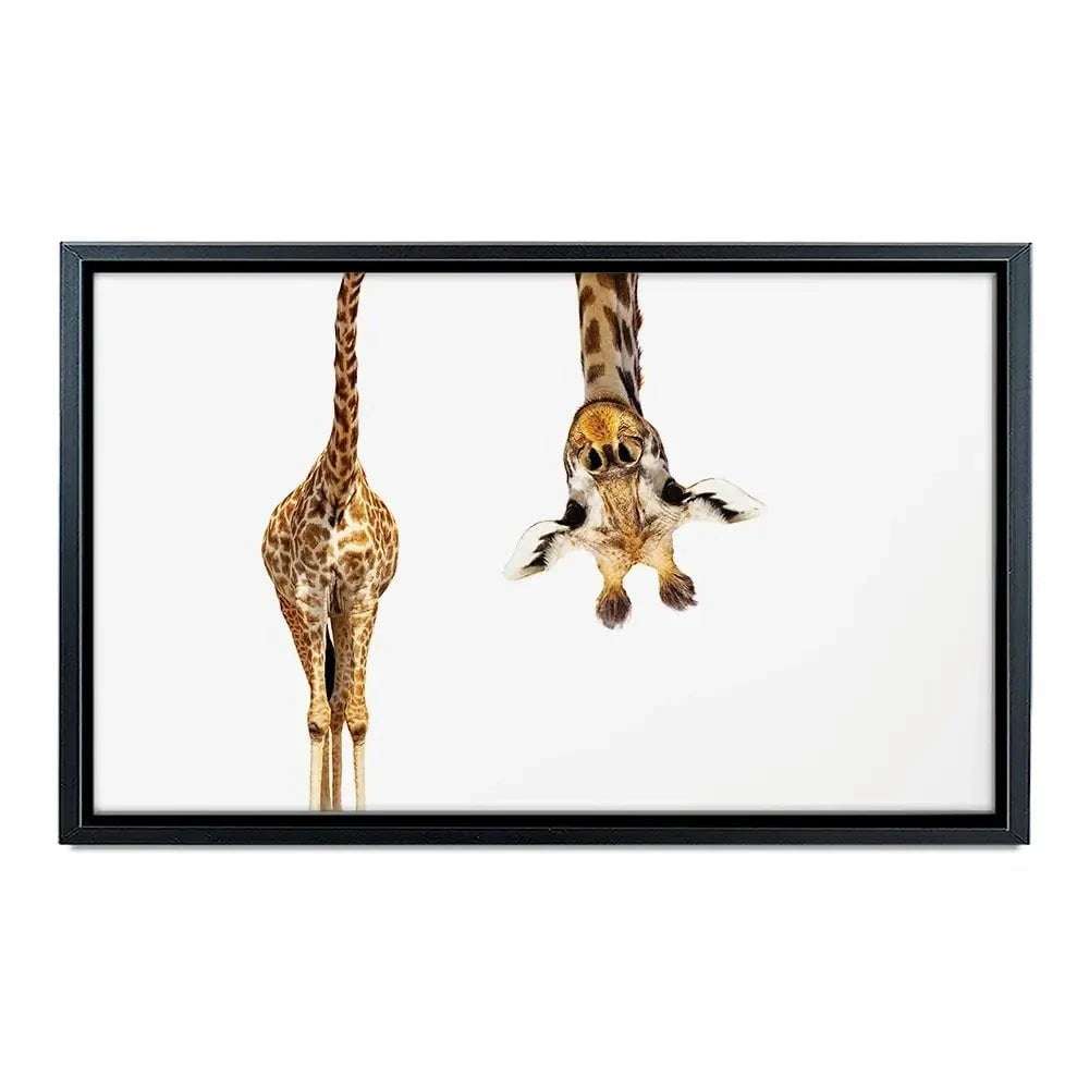 Upside Down Giraffe Canvas Print Upside Down Giraffe Canvas Print wall art product Sergey Novikov / Shutterstock