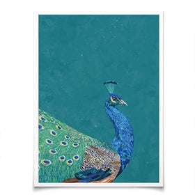 Vibrant Peacock Art Print Vibrant Peacock Art Print wall art product Sarah Manovski