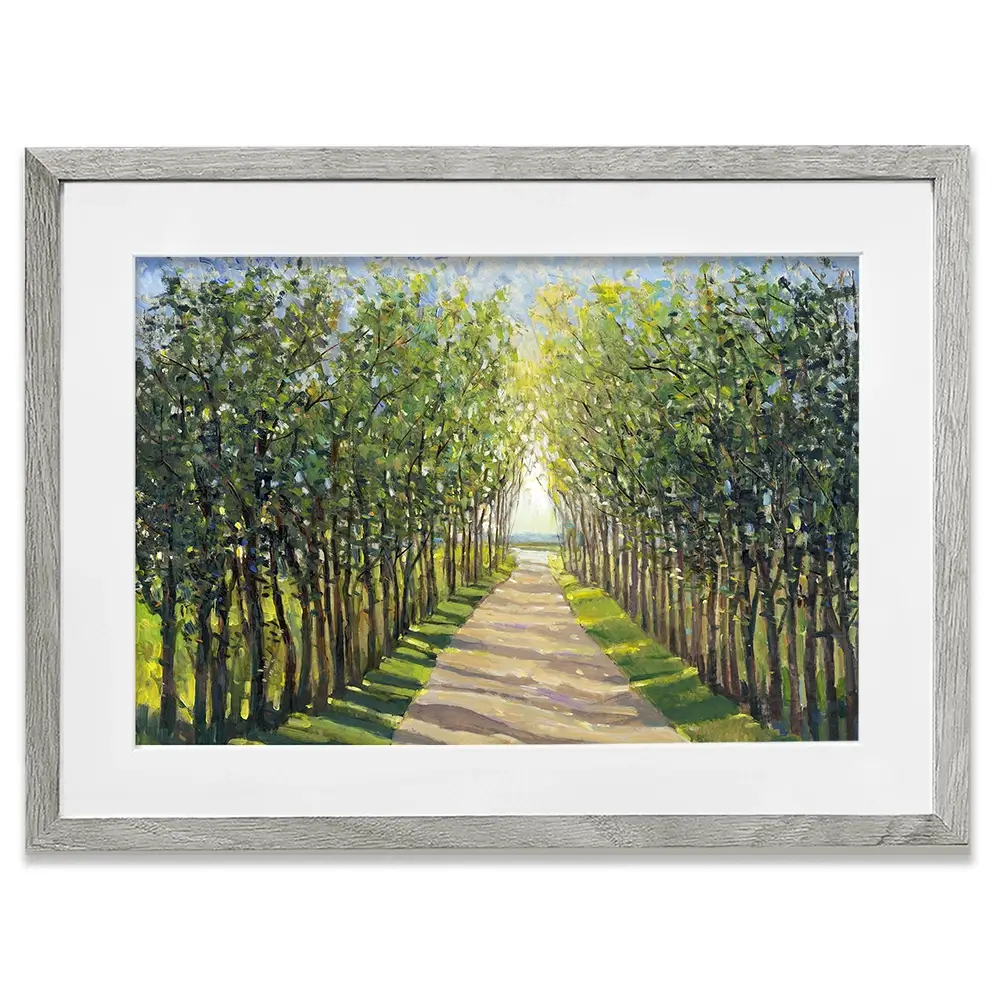 Walking Trail Framed Art Print Walking Trail Framed Art Print wall art product Tim O'Toole