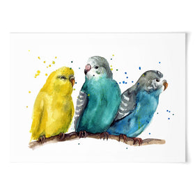 Watercolour Budgies Art Print wall art product Tatyana Komtsyan / Shutterstock