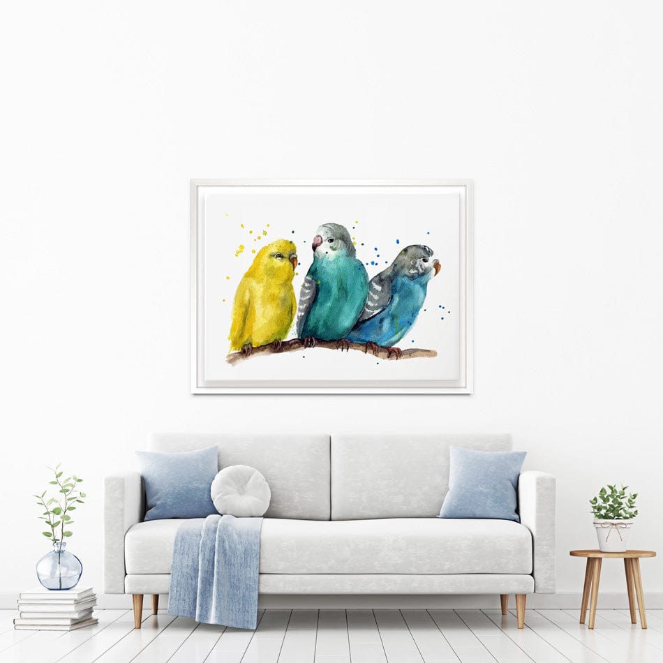 Watercolour Budgies Canvas Print wall art product Tatyana Komtsyan / Shutterstock