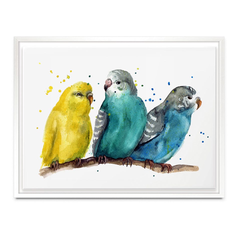 Watercolour Budgies Canvas Print wall art product Tatyana Komtsyan / Shutterstock