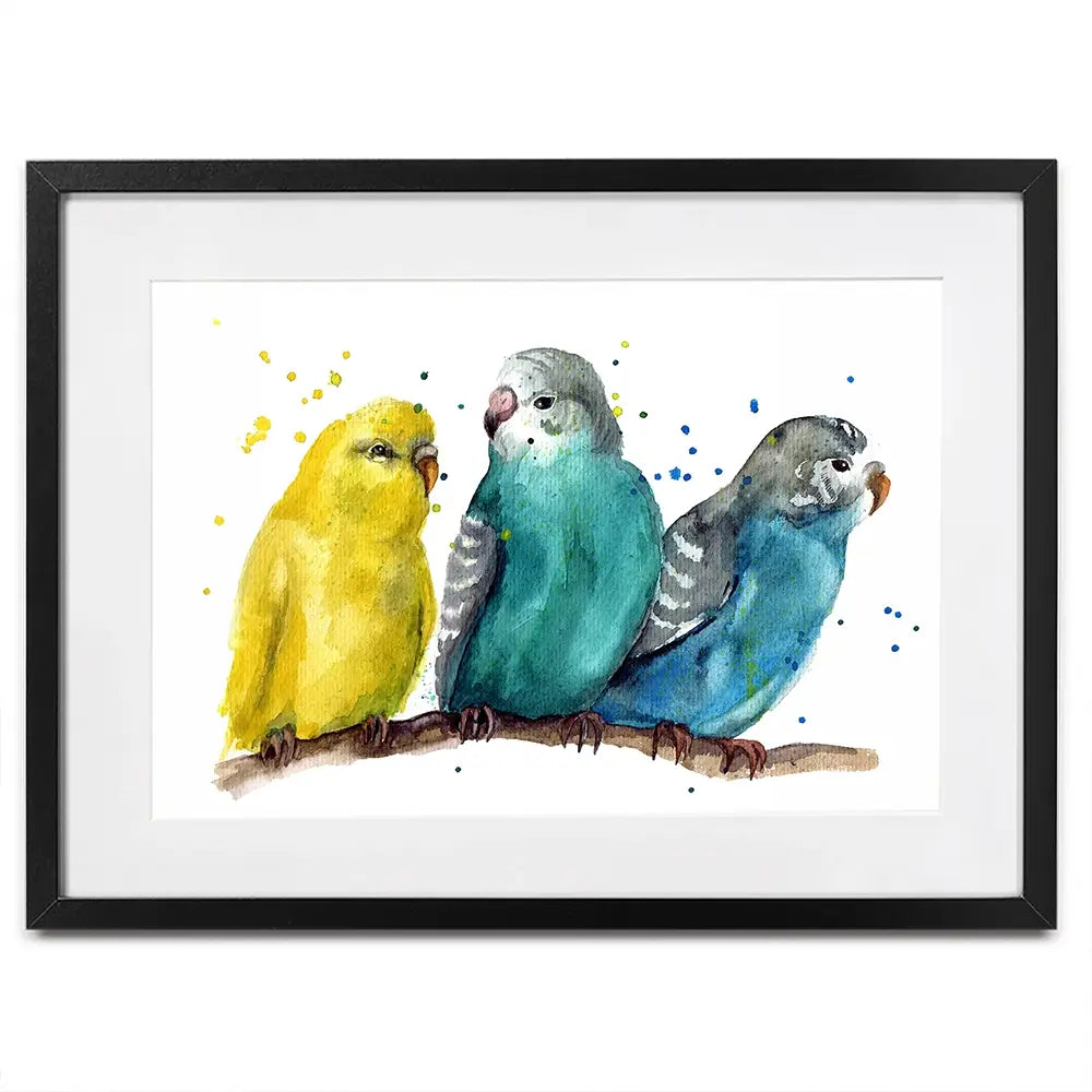 Watercolour Budgies Framed Art Print Watercolour Budgies Framed Art Print wall art product Tatyana Komtsyan / Shutterstock