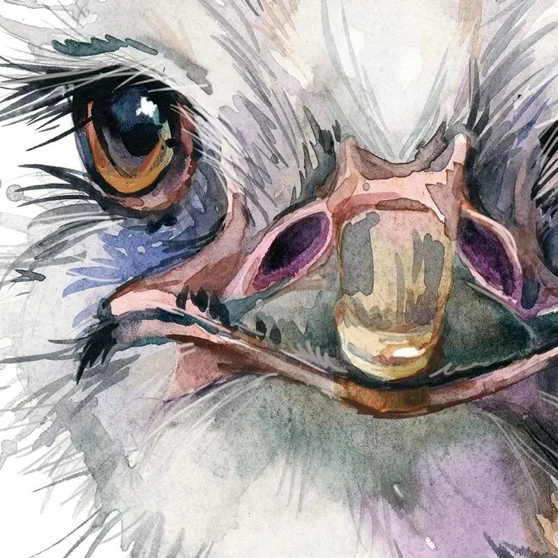 Watercolour Ostrich Canvas Print Watercolour Ostrich Canvas Print wall art product Faenkova Elena / Shutterstock