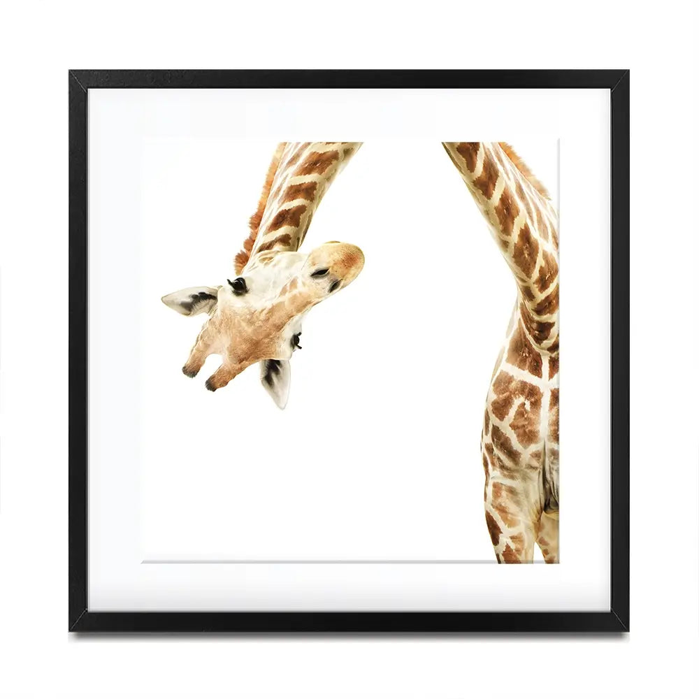 Well Hello There Square Framed Art Print Well Hello There Square Framed Art Print wall art product Lukiyanova Natalia frenta / Shutterstock