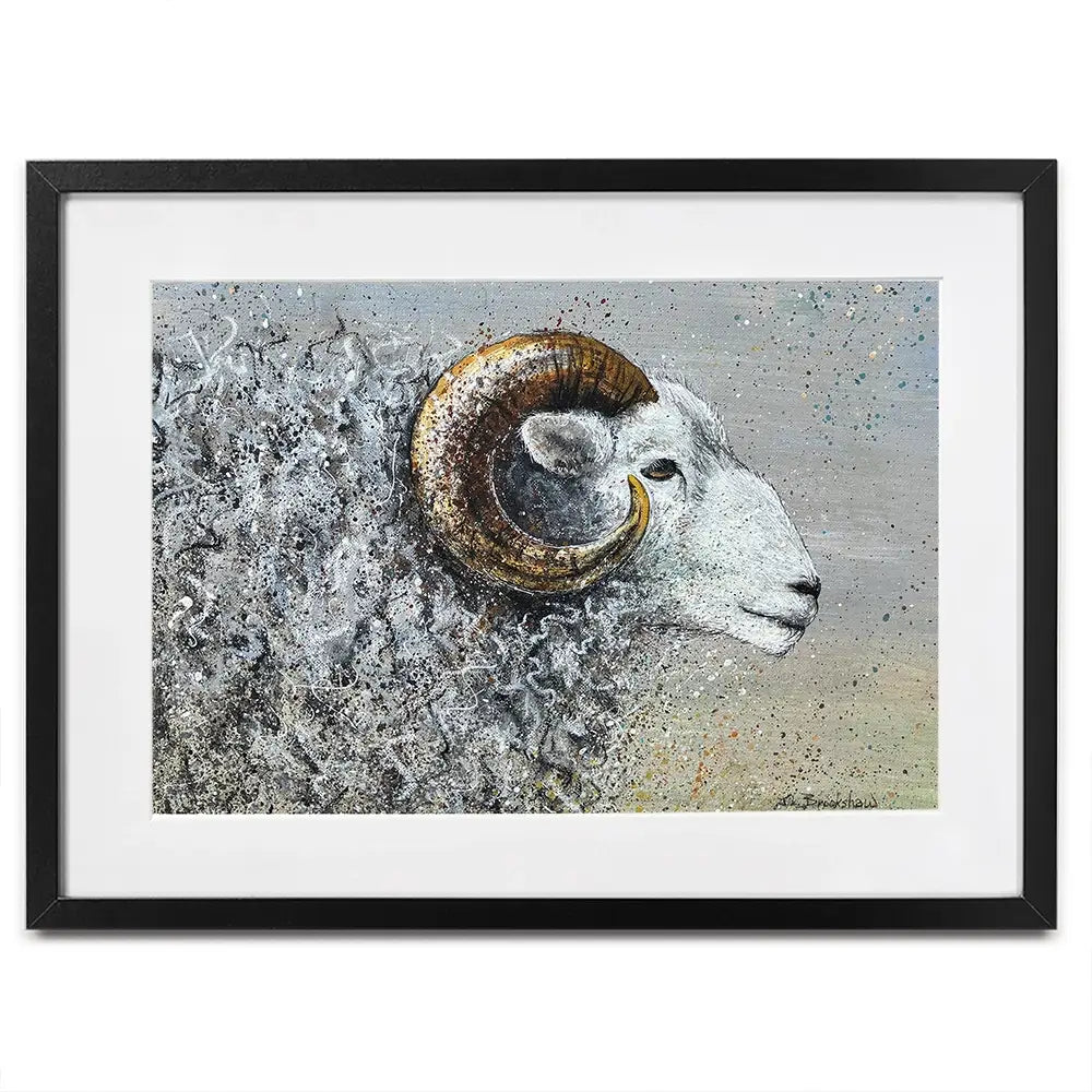 Welsh Mountain Sheep Framed Art Print Welsh Mountain Sheep Framed Art Print wall art product Jane Brookshaw