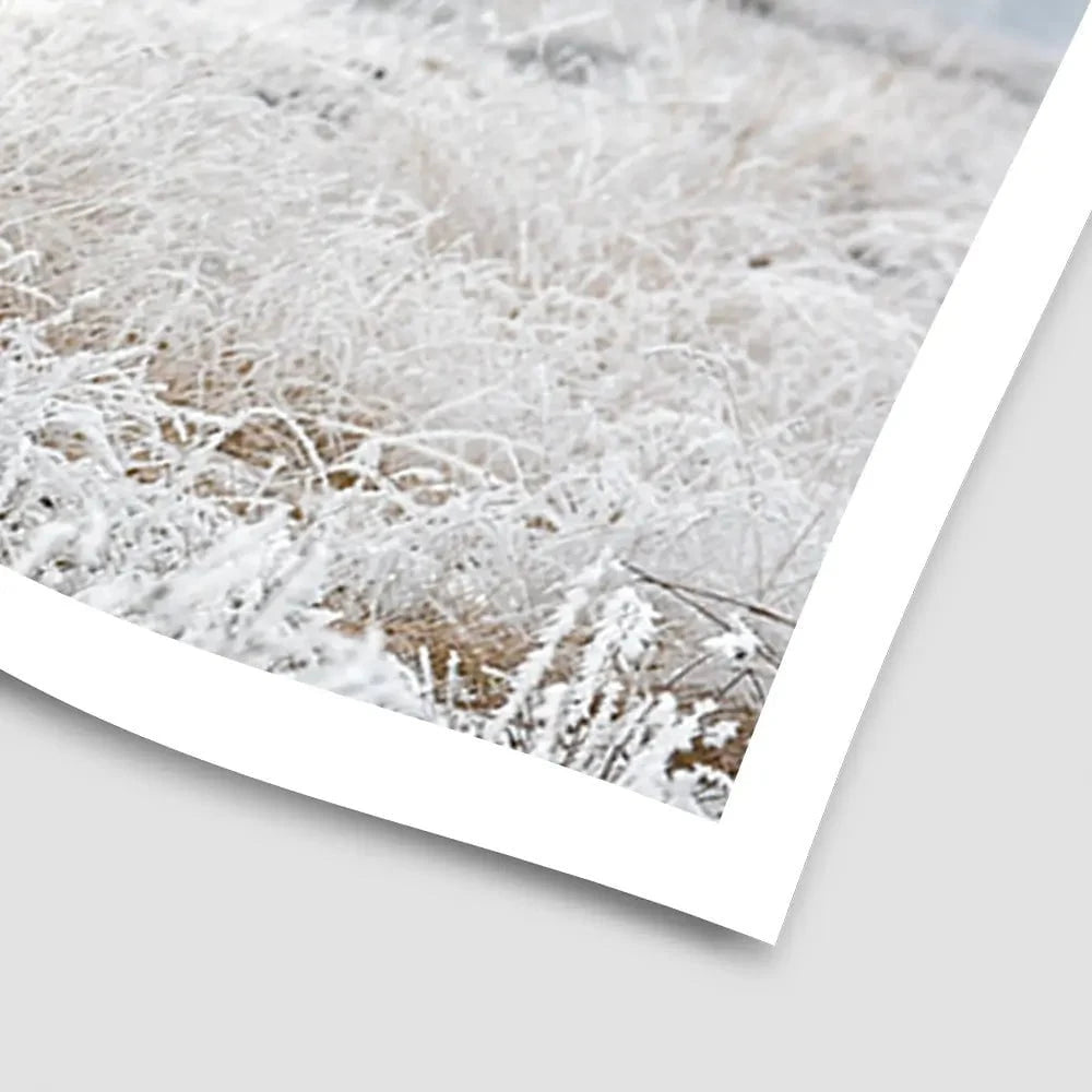 Winter Cow Art Print Winter Cow Art Print wall art product defotoberg / Shutterstock