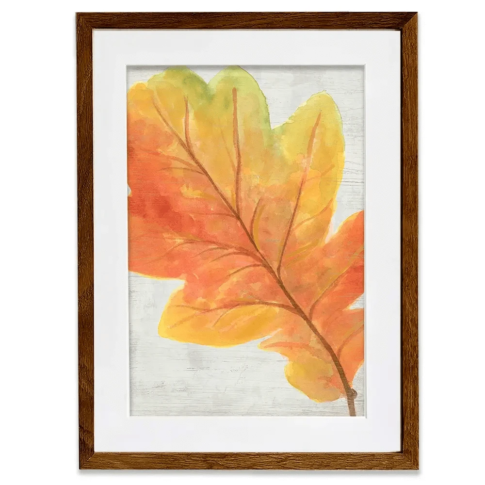 Woodland Colours 2 Framed Art Print Woodland Colours 2 Framed Art Print wall art product June Erica Vess