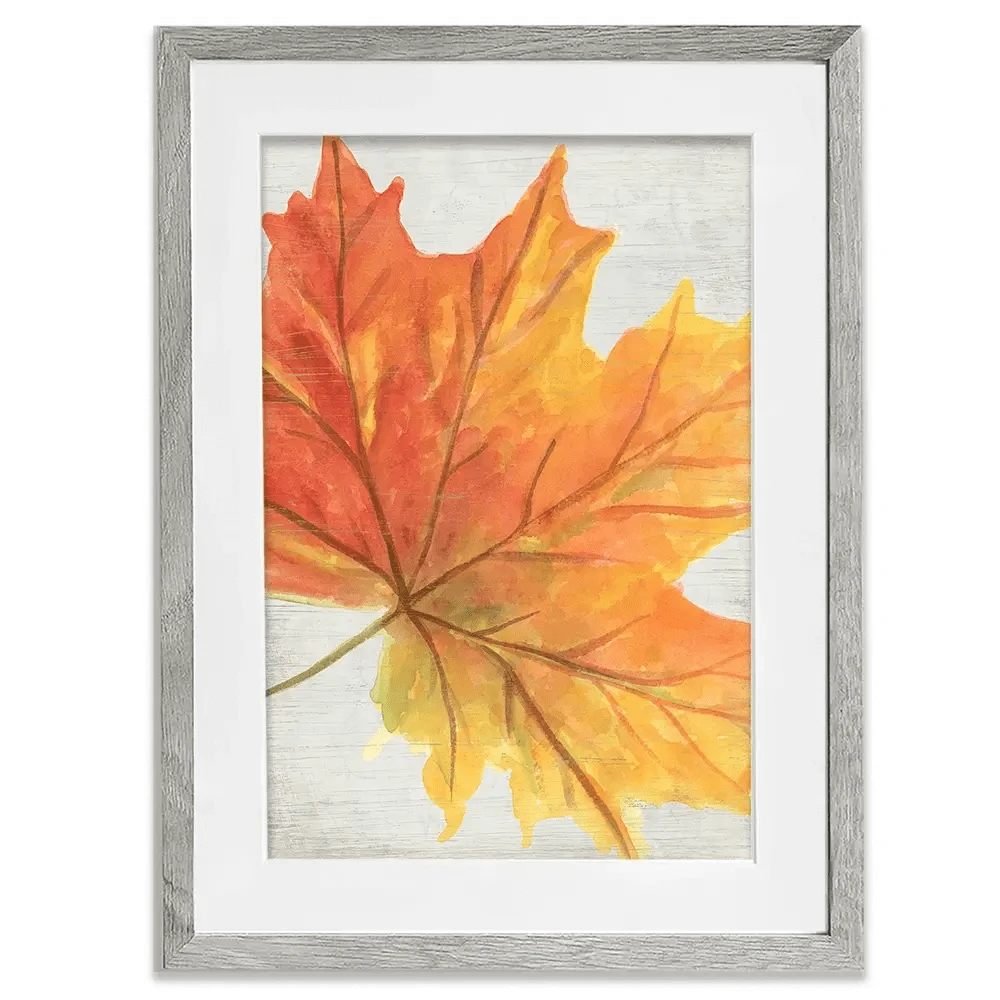 Woodland Colours 3 Framed Art Print Woodland Colours 3 Framed Art Print wall art product June Erica Vess