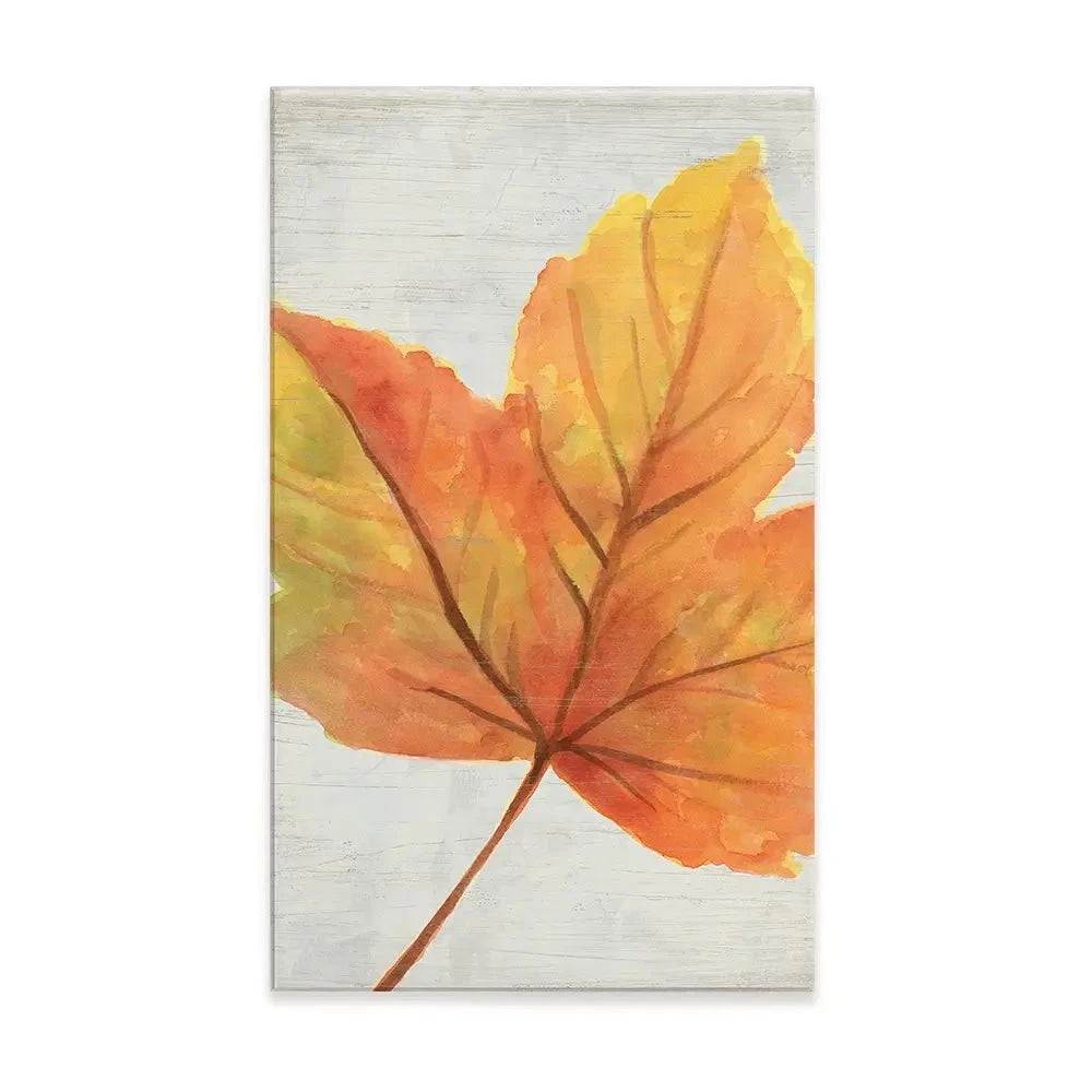 Woodland Colours Canvas Print Woodland Colours Canvas Print wall art product June Erica Vess