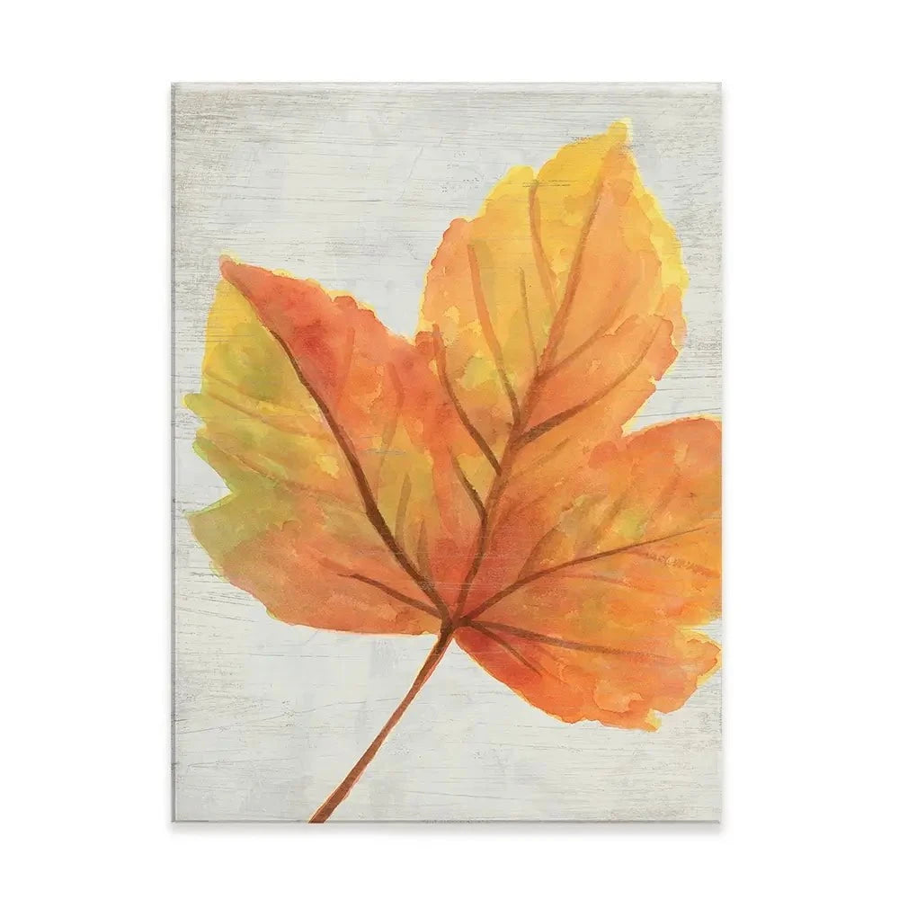 Woodland Colours Canvas Print Woodland Colours Canvas Print wall art product June Erica Vess