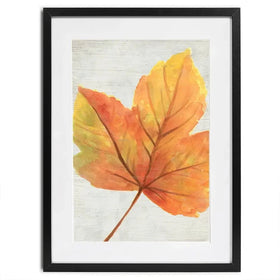 Woodland Colours Framed Art Print Woodland Colours Framed Art Print wall art product June Erica Vess