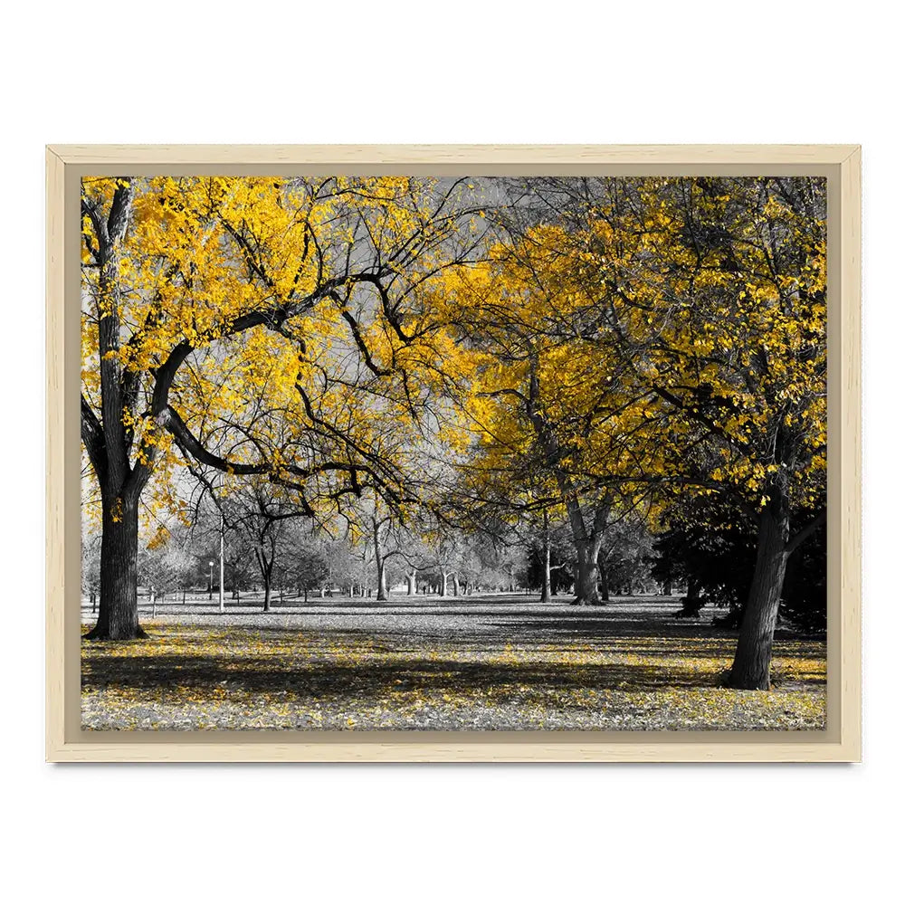 Yellow Blossom Trees Canvas Print Yellow Blossom Trees Canvas Print wall art product Ryan DeBerardinis / Shutterstock