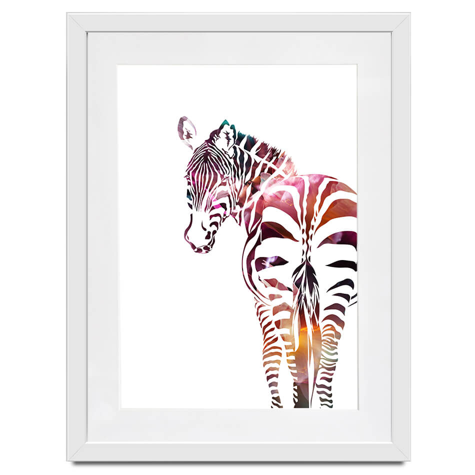 Zebra On White Framed Art Print Zebra On White Framed Art Print wall art product Sarah Manovski