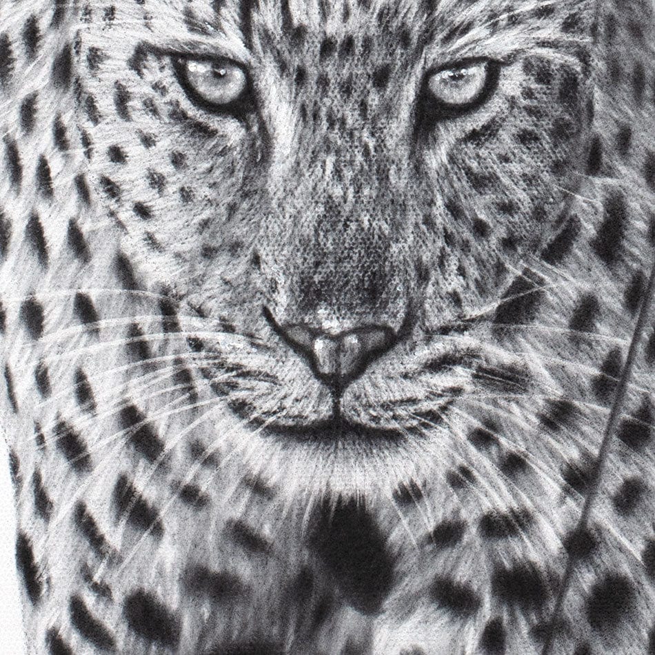 A Leopards World Framed Art Print wall art product Ashvin Harrison