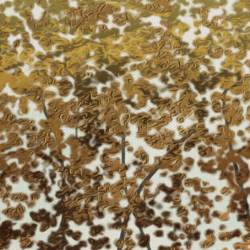 Abstract Trees Canvas Print wall art product Muzi pear studio / Shutterstock