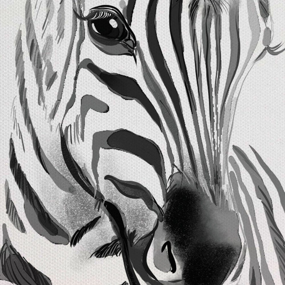 Baby Zebra Canvas Print wall art product Big Creative Studio / Shutterstock