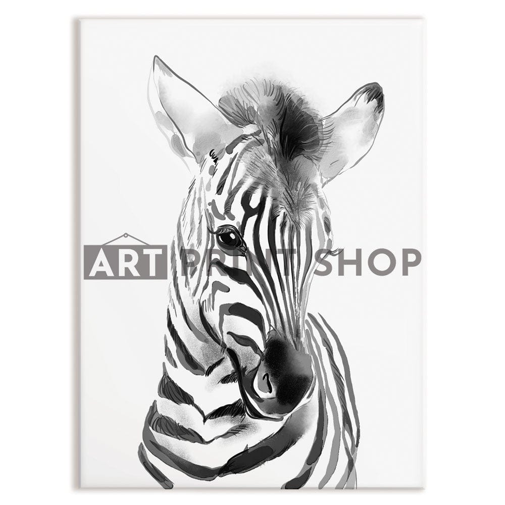 Baby Zebra Canvas Print wall art product Big Creative Studio / Shutterstock