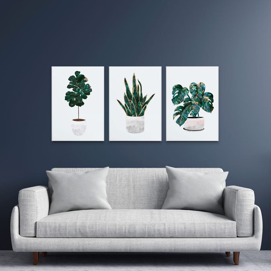 Beautiful Botanicals Trio Canvas Print wall art product Sarah Manovski