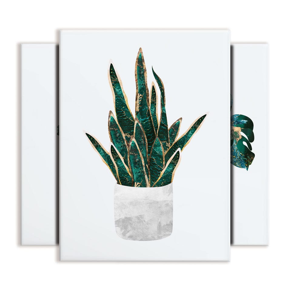 Beautiful Botanicals Trio Canvas Print wall art product Sarah Manovski