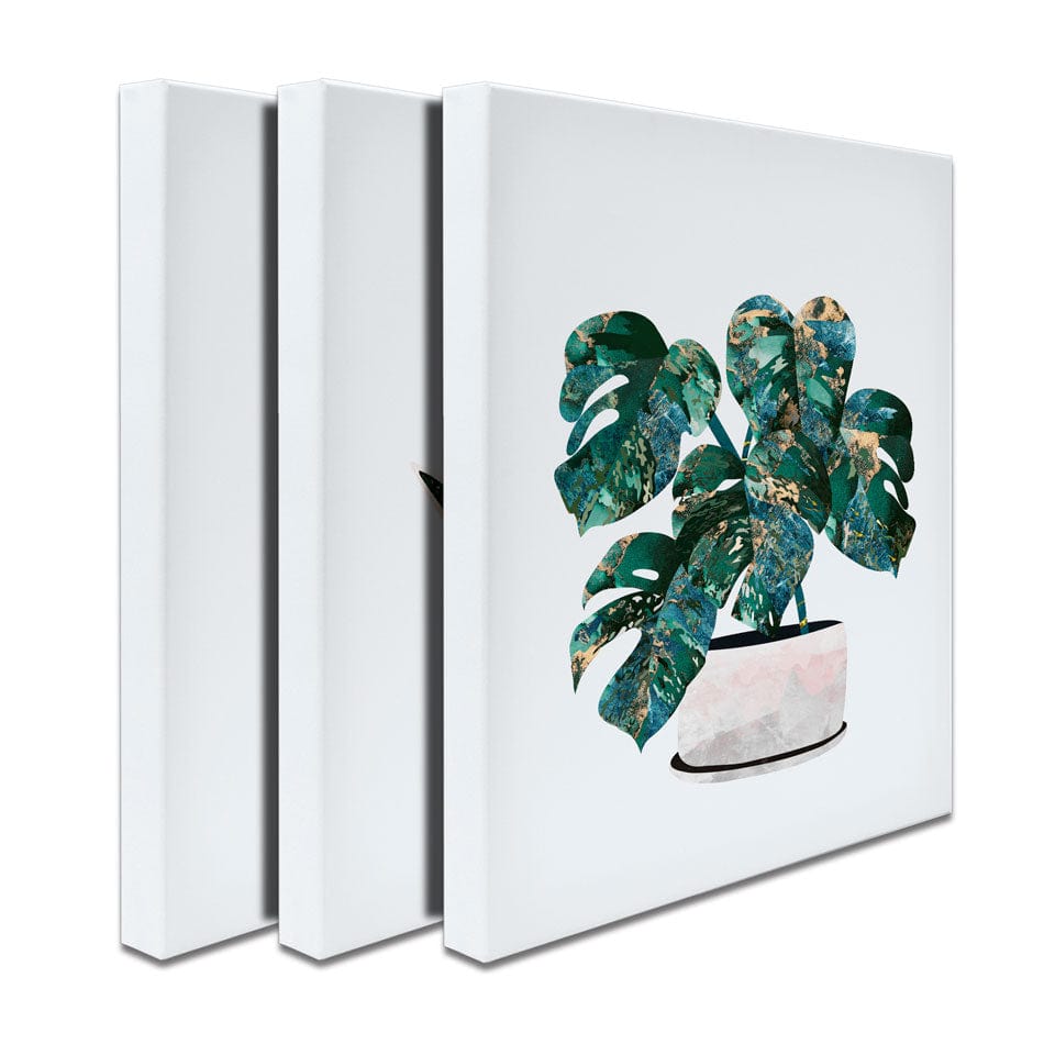 Beautiful Botanicals Trio Canvas Print wall art product Sarah Manovski