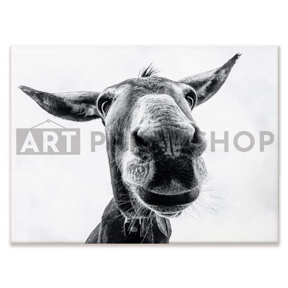 Black And White Donkey Canvas Print wall art product COLOMBO NICOLA / Shutterstock