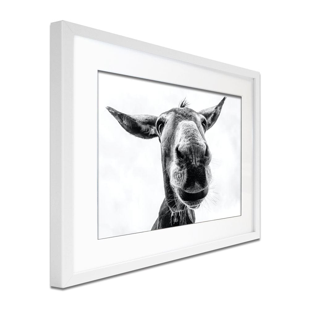 Black And White Donkey Framed Art Print wall art product COLOMBO NICOLA / Shutterstock