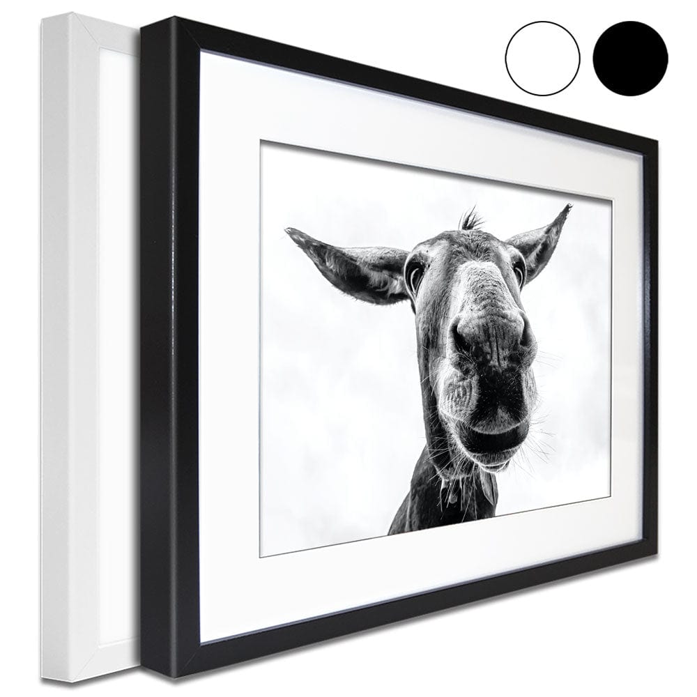 Black And White Donkey Framed Art Print wall art product COLOMBO NICOLA / Shutterstock