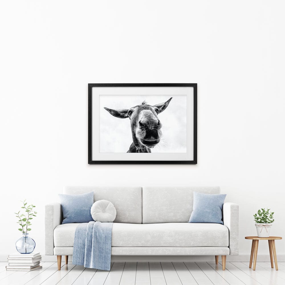 Black And White Donkey Framed Art Print wall art product COLOMBO NICOLA / Shutterstock