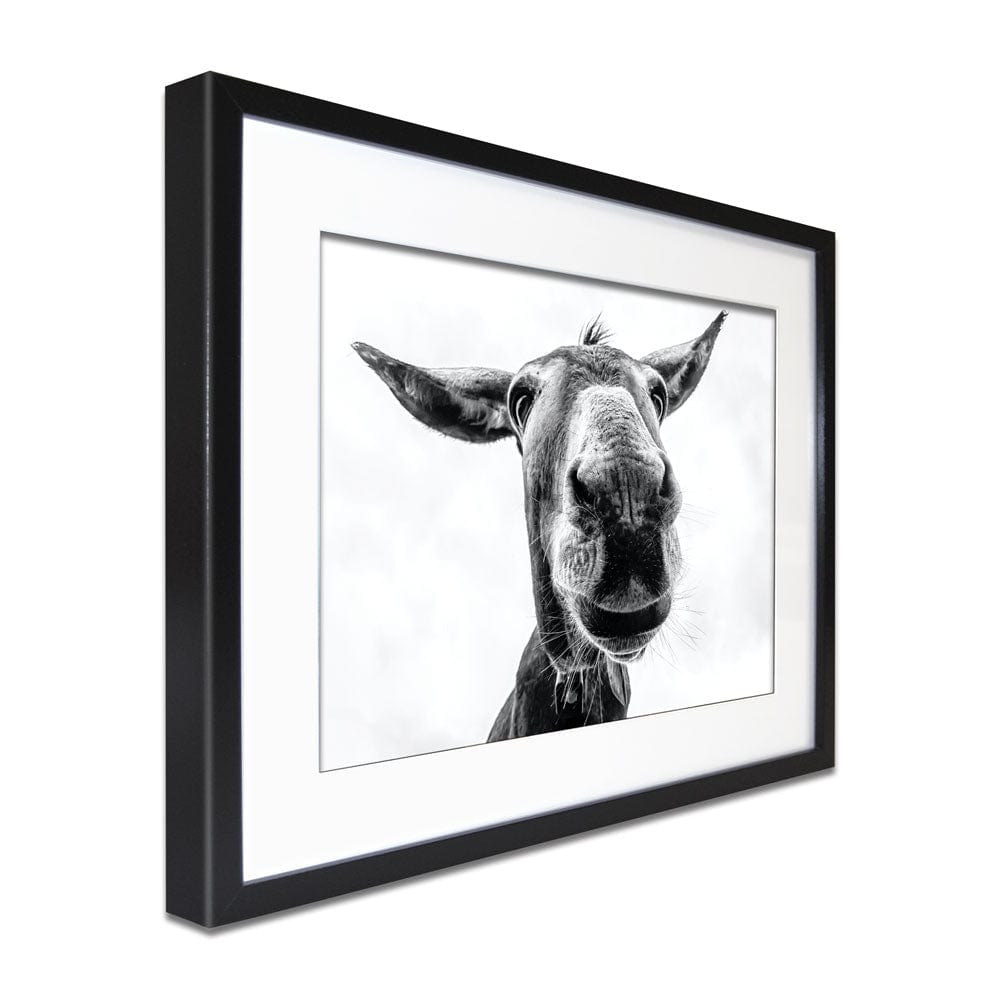 Black And White Donkey Framed Art Print wall art product COLOMBO NICOLA / Shutterstock