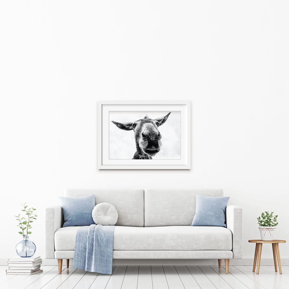 Black And White Donkey Framed Art Print wall art product COLOMBO NICOLA / Shutterstock