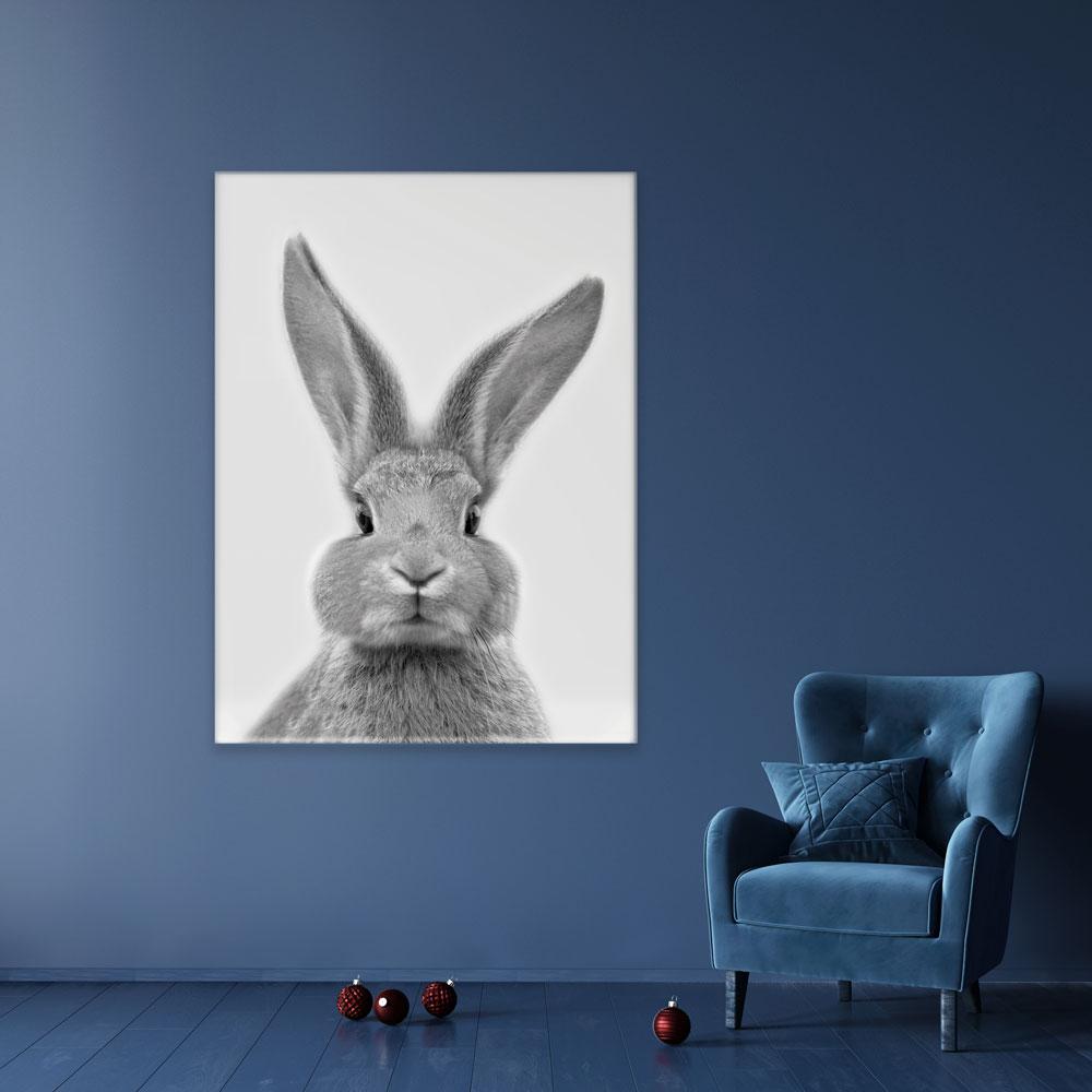 Bunny Rabbit Portrait Canvas Print wall art product R Visser / Independent