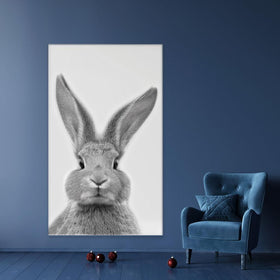 Bunny Rabbit Portrait Canvas Print wall art product R Visser / Independent