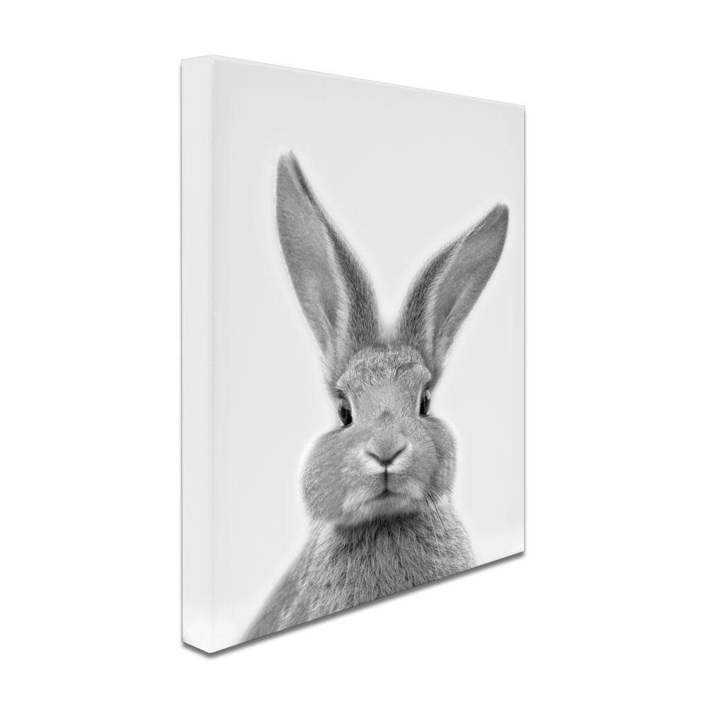 Bunny Rabbit Portrait Canvas Print wall art product R Visser / Independent