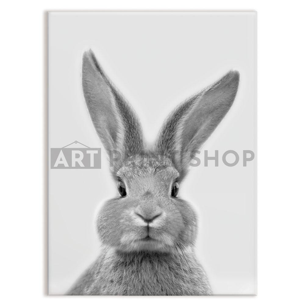 Bunny Rabbit Portrait Canvas Print wall art product R Visser / Independent