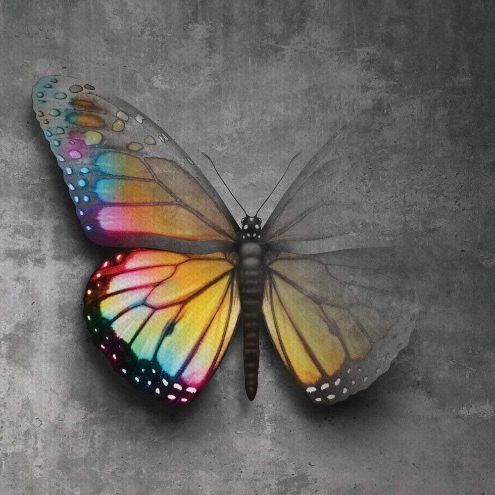 Butterfly Canvas Print wall art product Lightspring / Shutterstock