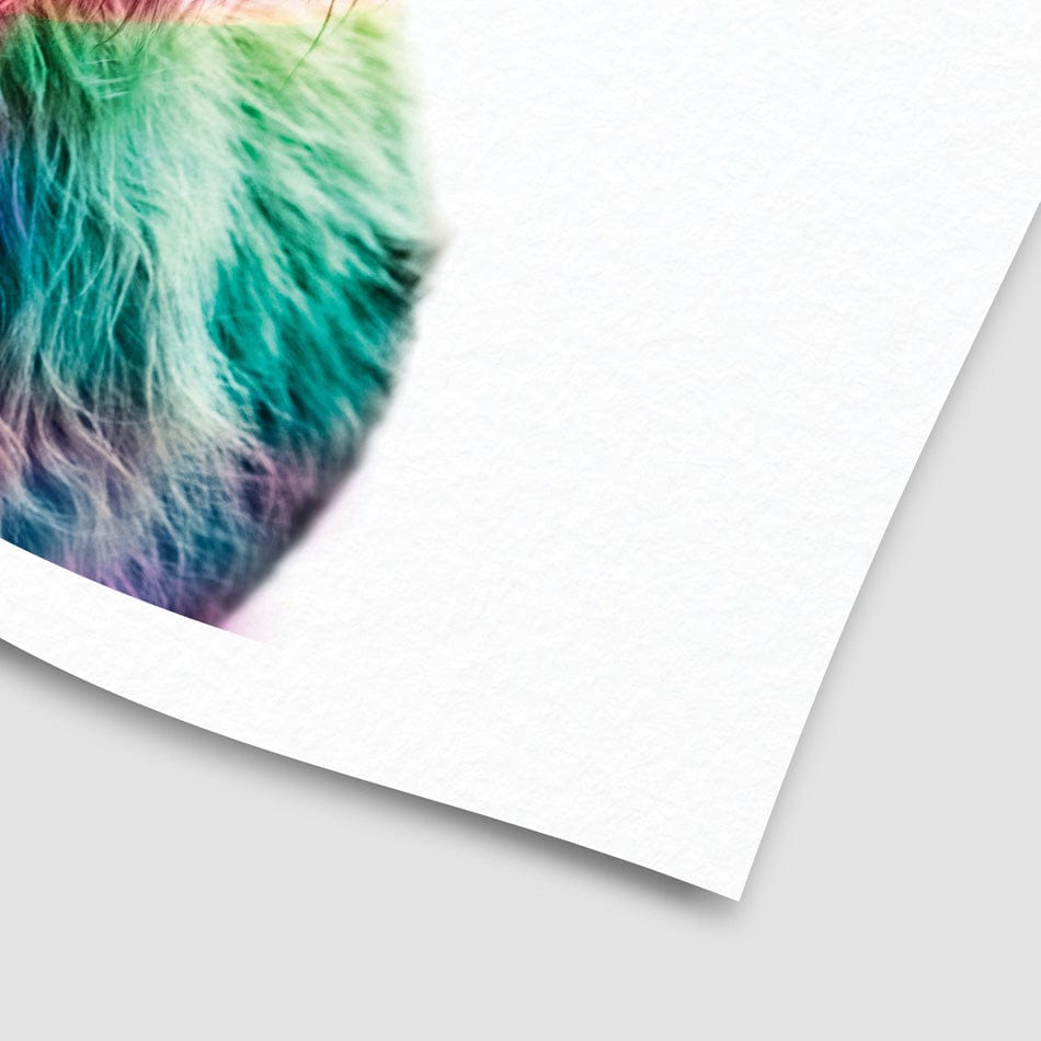 Colourful Pink Highland Cow Art Print wall art product Patricia Chumillas / Shutterstock