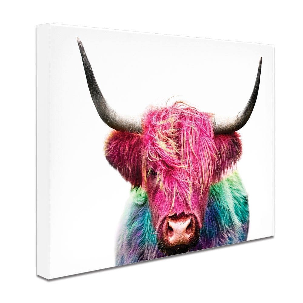 Colourful Pink Highland Cow Canvas Print wall art product Patricia Chumillas / Shutterstock