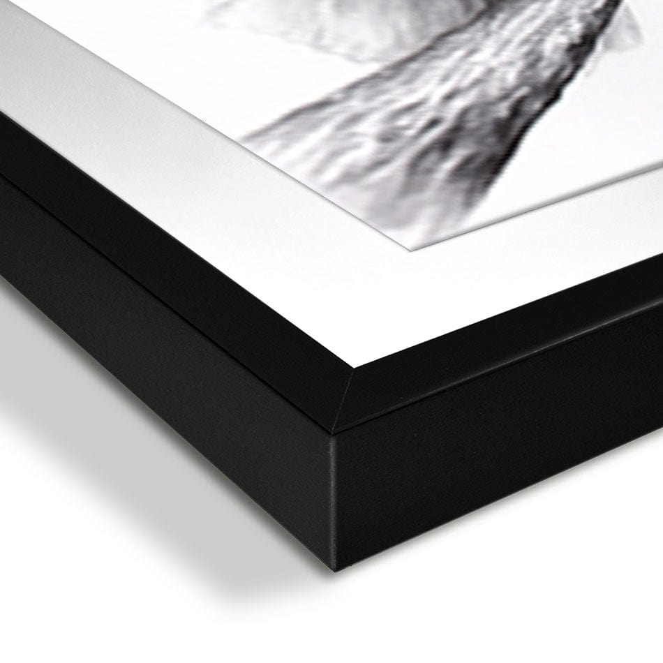 Cool Cockatoo Framed Art Print wall art product Ashvin Harrison