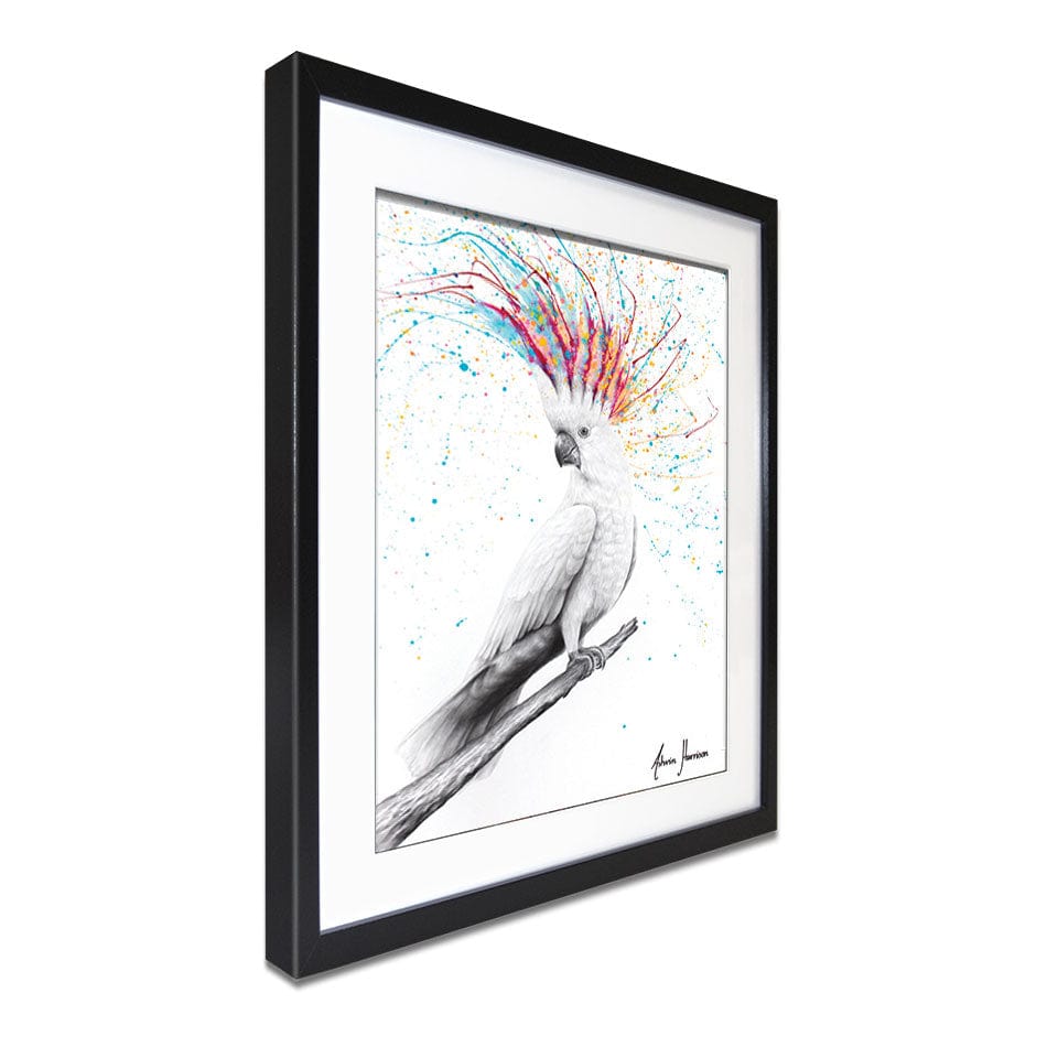 Cool Cockatoo Framed Art Print wall art product Ashvin Harrison