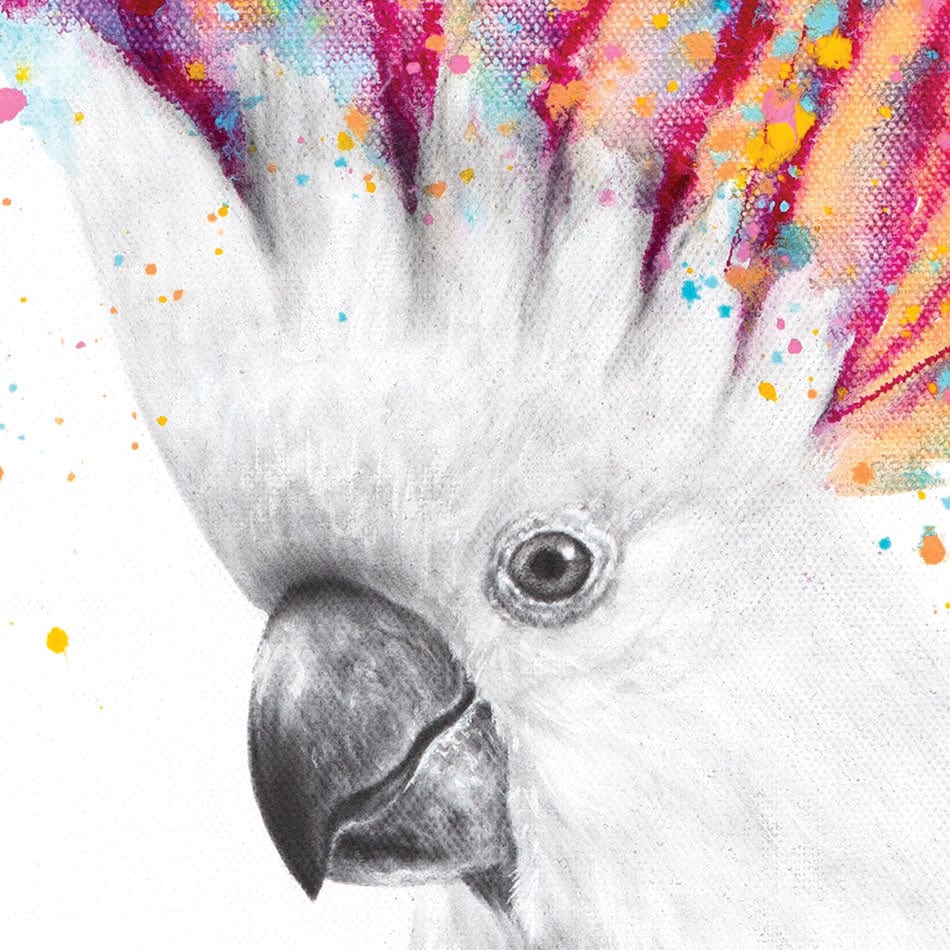Cool Cockatoo Framed Art Print wall art product Ashvin Harrison