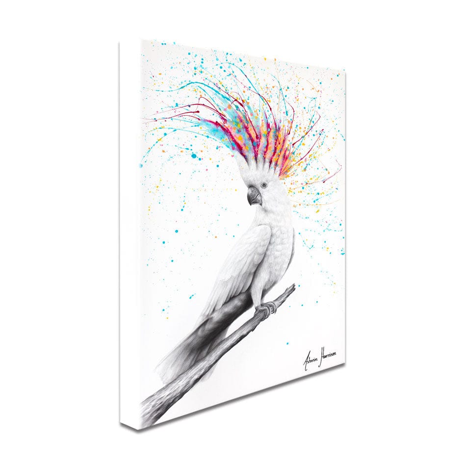 Cool Cocktaoo Canvas Print wall art product Ashvin Harrison