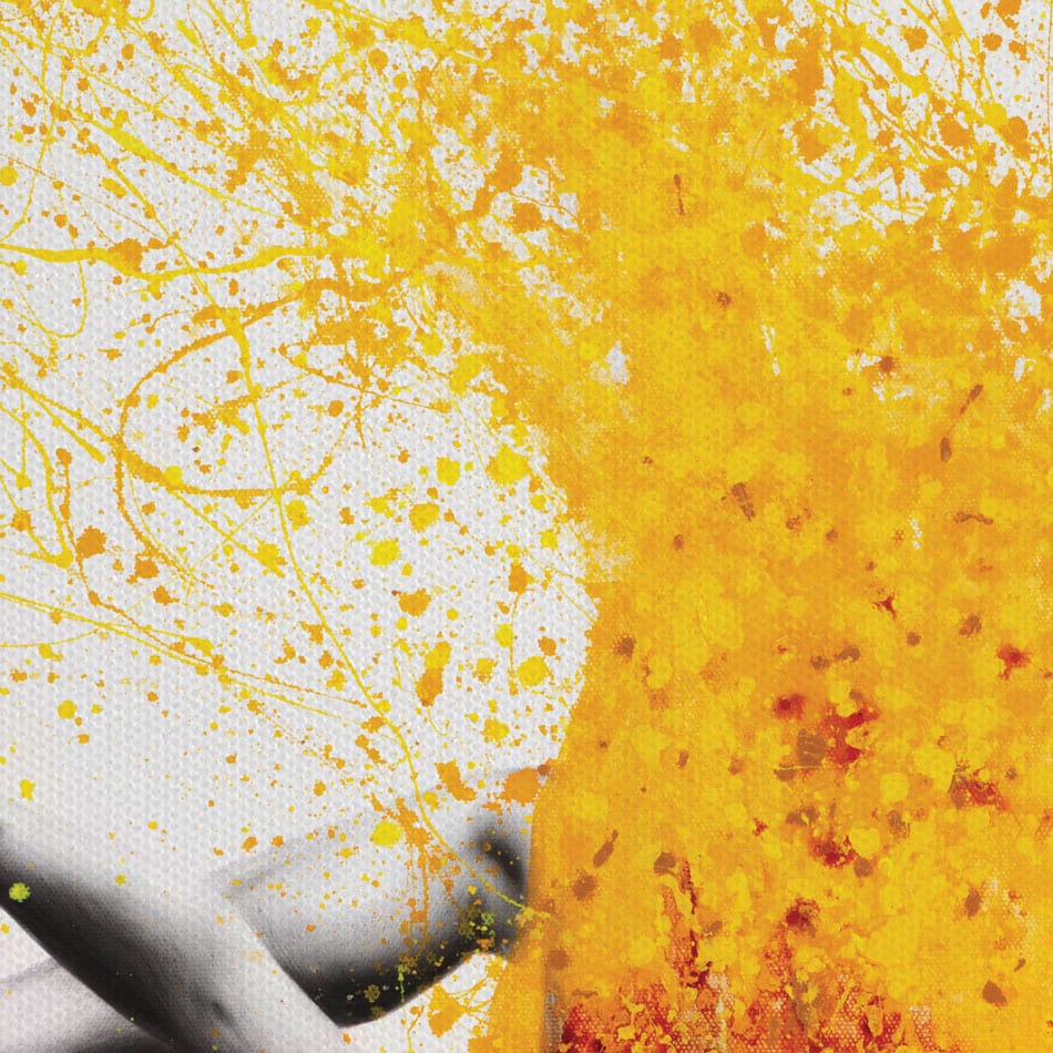 Dancing Duo Canvas Print wall art product Ashvin Harrison